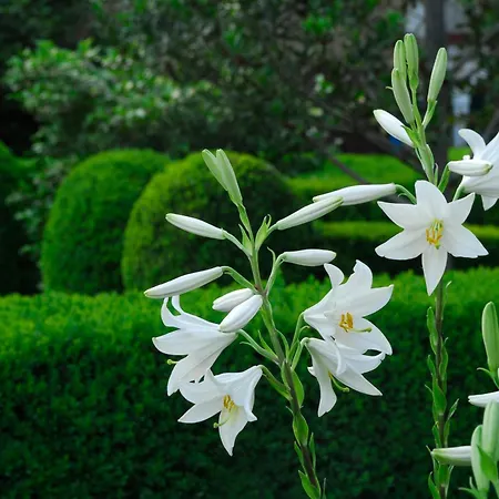 Летний дом El Jardin Del Convento, Хервас