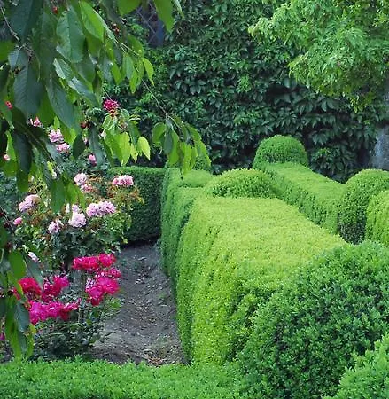 El Jardin Del Convento, * Хервас