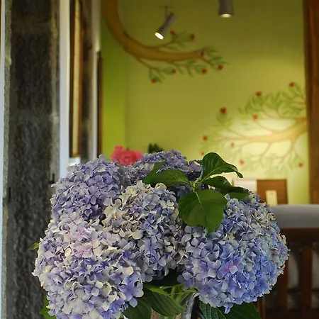 El Jardin Del Convento, Хервас