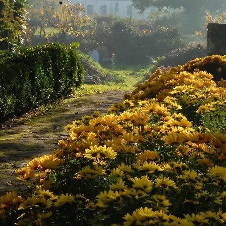 El Jardin Del Convento,