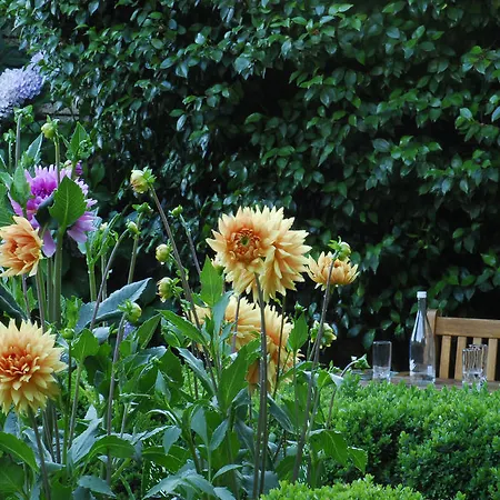 El Jardin Del Convento,