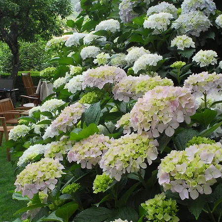 El Jardin Del Convento, Хервас