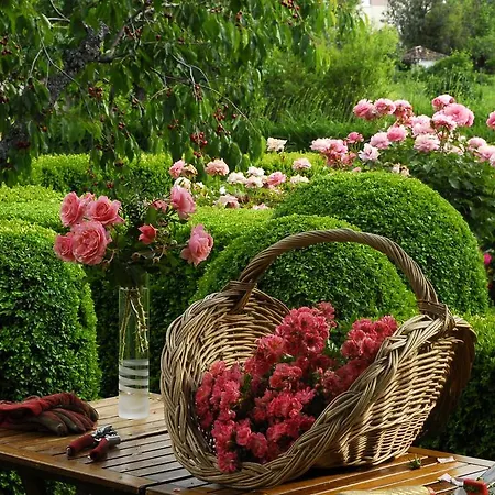 El Jardin Del Convento, *