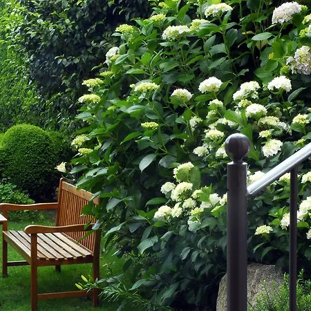 El Jardin Del Convento, Летний дом