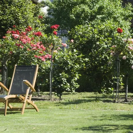 El Jardin Del Convento,