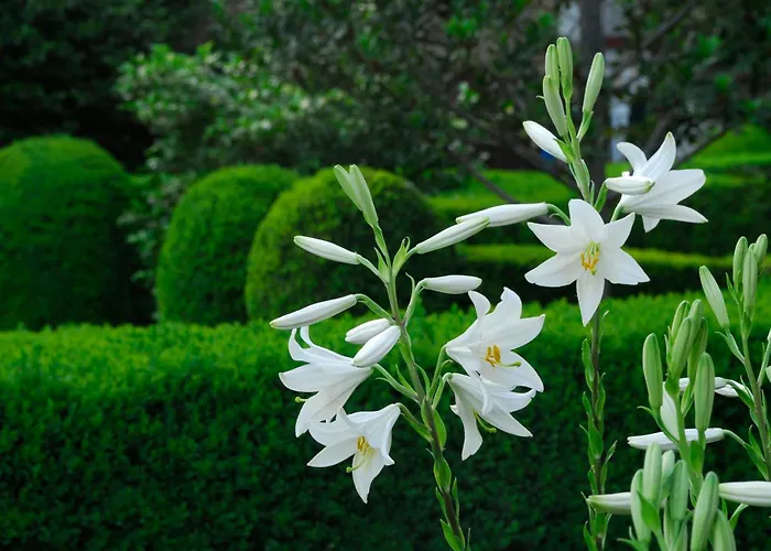 Venkovský dům El Jardin Del Convento, Hervás