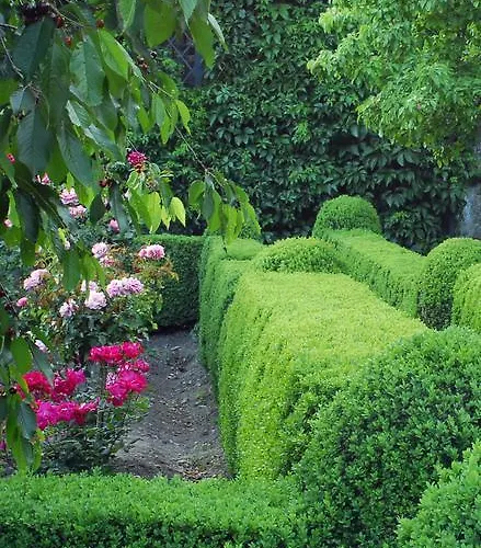 El Jardin Del Convento, * Hervás