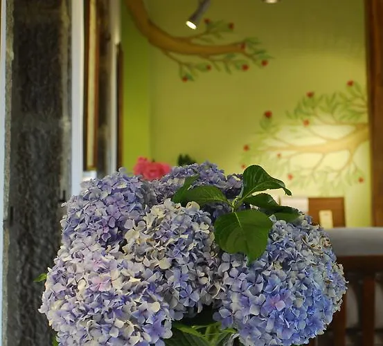 El Jardin Del Convento, Hervás