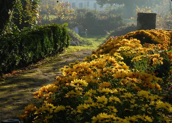 El Jardin Del Convento,