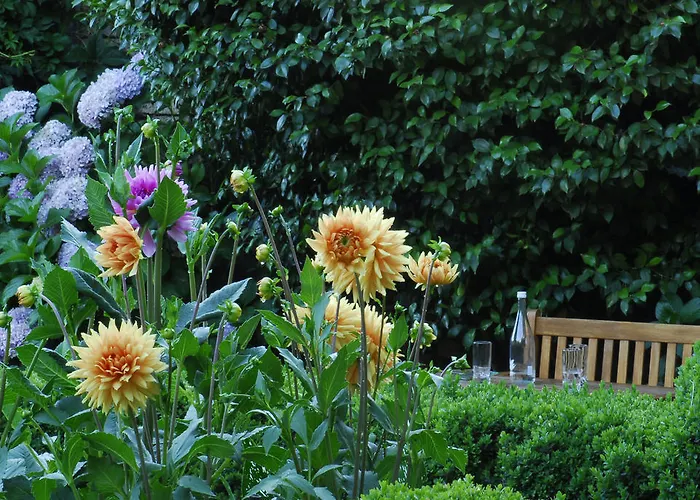 El Jardin Del Convento,