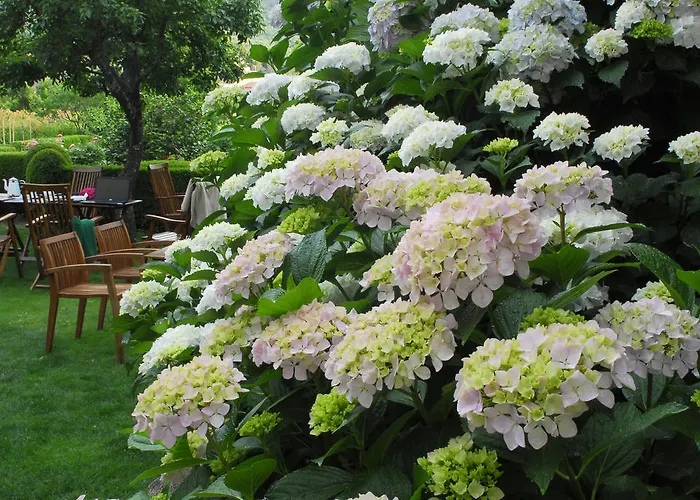 El Jardin Del Convento, Hervás