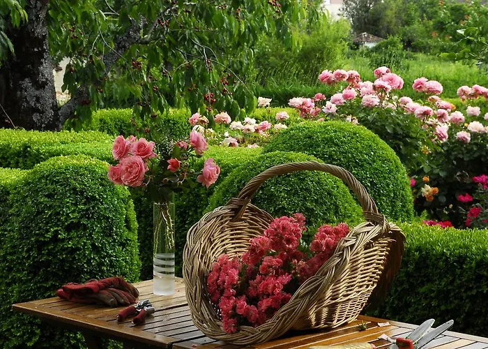 El Jardin Del Convento, *