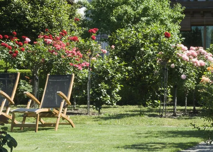 El Jardin Del Convento,